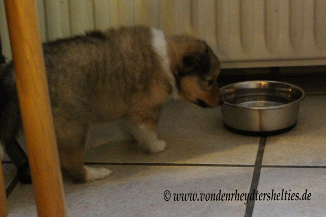 IMG_0524 Verdauungsspaziergang 1