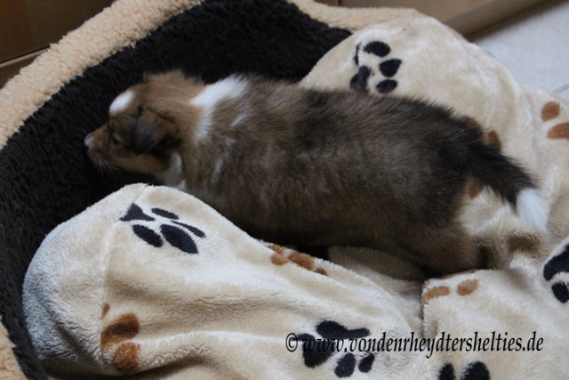 IMG_0525 Erkundungstour 1