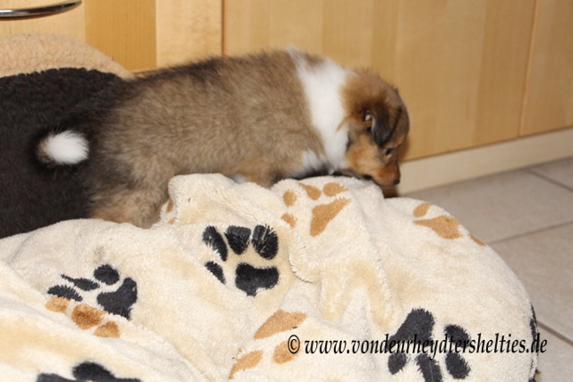 IMG_0526 Erkundungstour 2