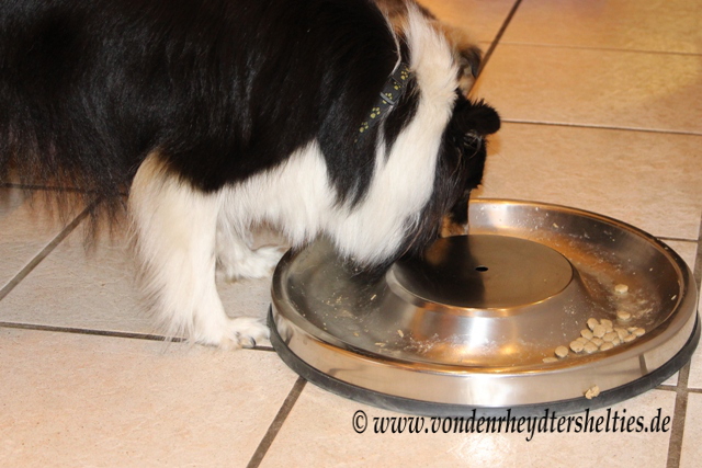 IMG_0527 Reste-vernichter