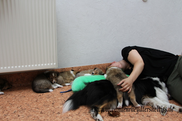 IMG_0575  Sieben sind Muede