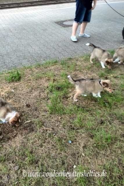 IMG_20140820_173114 IMG_20140820_173114