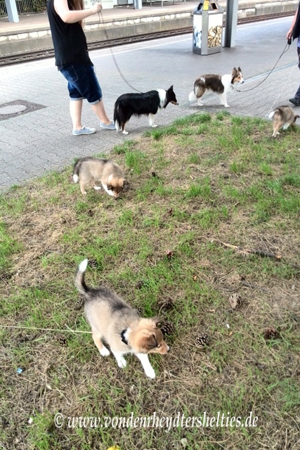 IMG_20140820_173119 IMG_20140820_173119