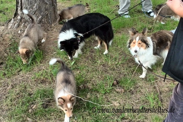 IMG_20140820_173159_3 IMG_20140820_173159_3