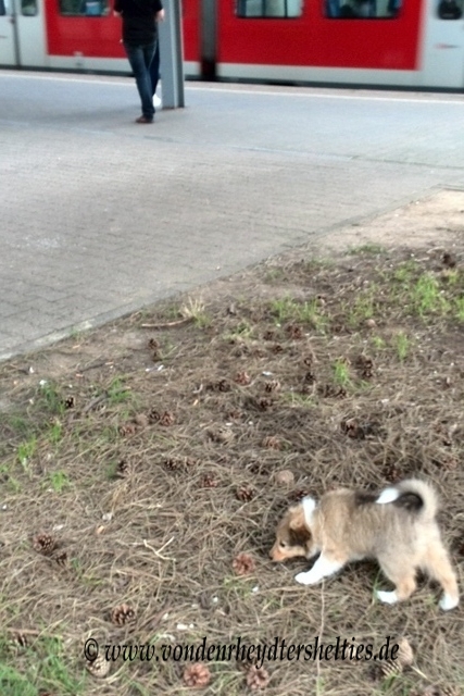 IMG_20140820_173210_1 IMG_20140820_173210_1