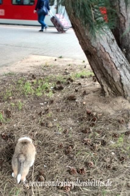 IMG_20140820_173221_10 IMG_20140820_173221_10