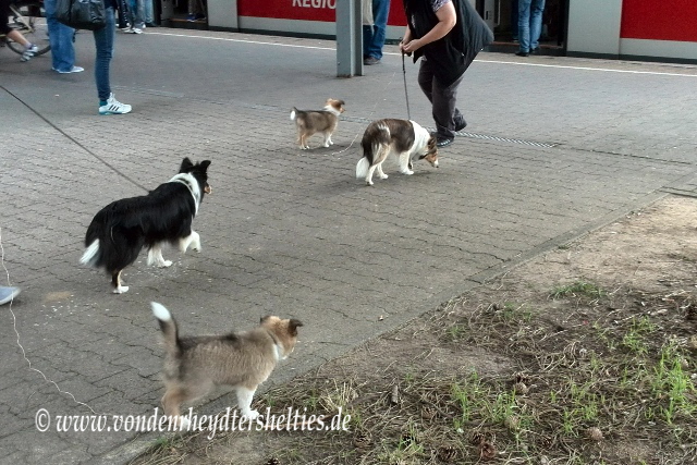 IMG_20140820_173242 IMG_20140820_173242