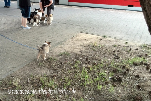 IMG_20140820_173243_3 IMG_20140820_173243_3