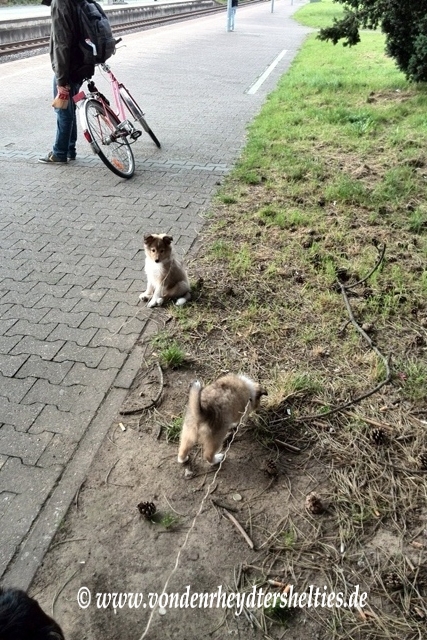 IMG_20140820_173347 IMG_20140820_173347