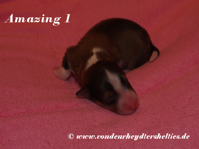 Amazing-1------------Bild-4