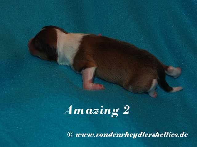 Amazing-2------------Bild-3