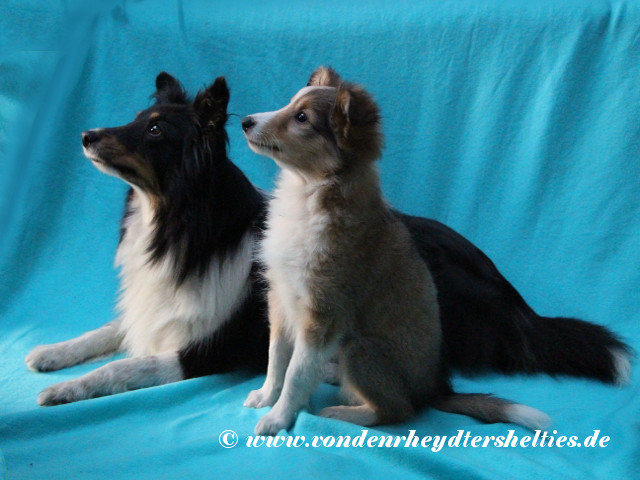 IMG_6540_Manipuliert