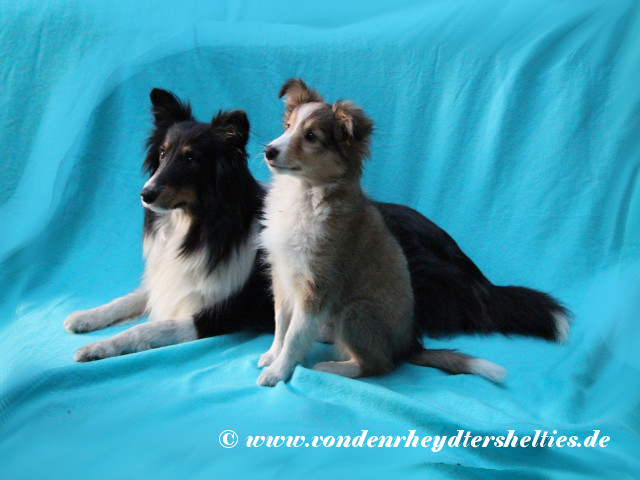 IMG_6554_Manipuliert