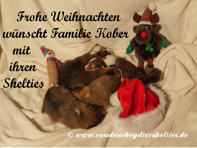Weihnachtsgru