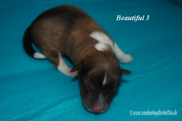 beautiful 3 d 13.01.2016