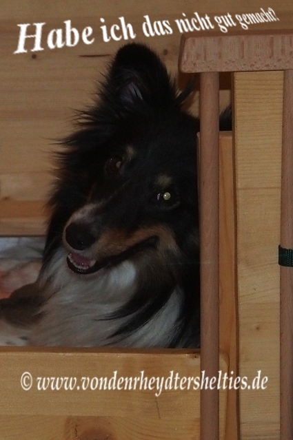 Hab ich gut gemacht oder