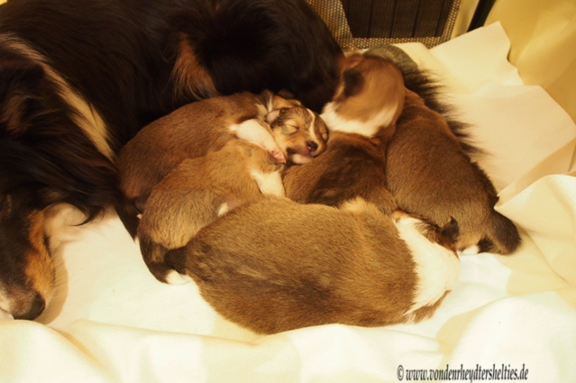 1                     Guten Morgen