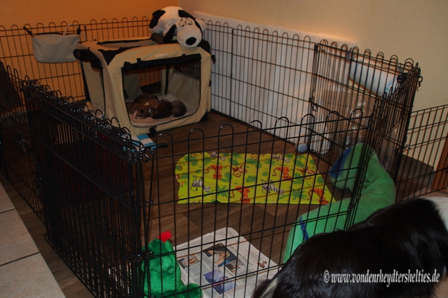 4                     Schaut her hier wohnen wir