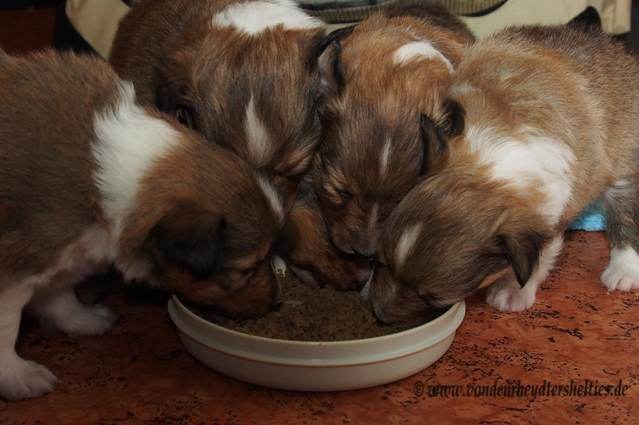 2  jetzt heit es Teilen