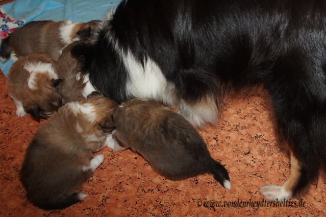 5   Auch Mama schmeckt es