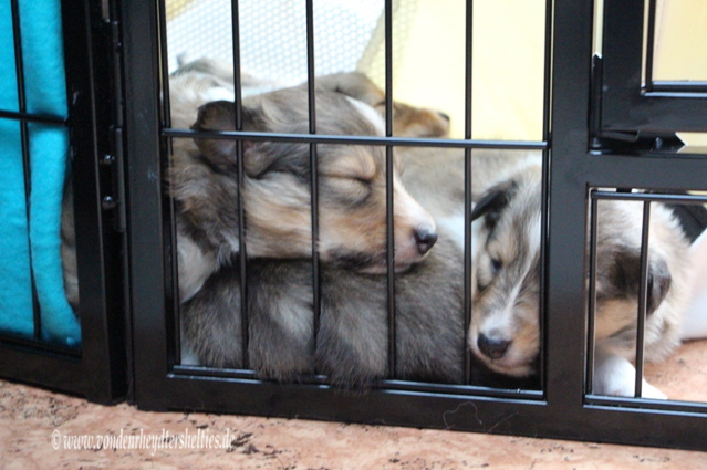 1_Du_kommst_nicht_rein