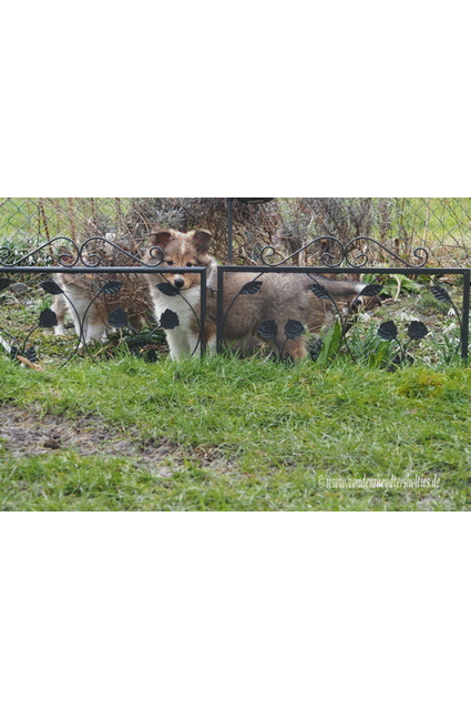 gemischte Eindruecke