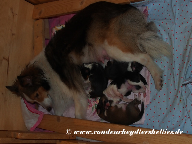 PC081401-li-2-oben-re-3-oben-mitte-4-unten-1