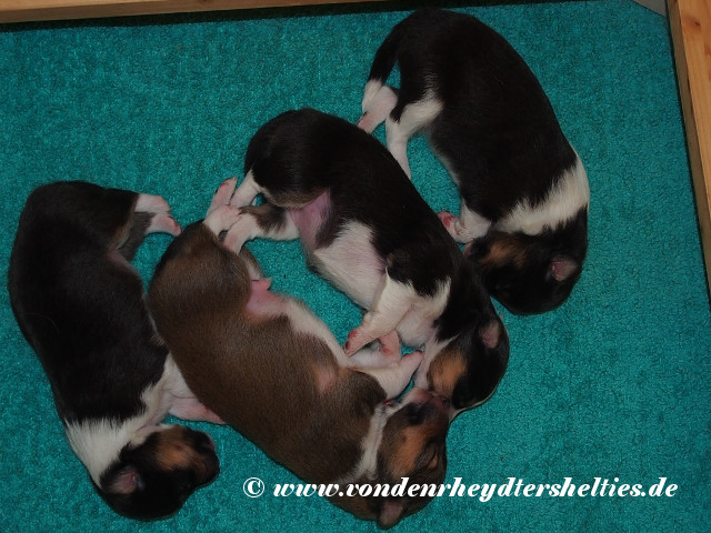 PC131442---unbeschriftet