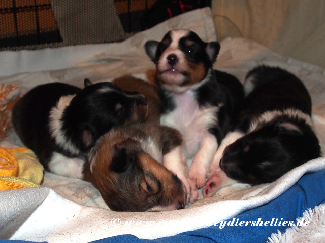 PC171493---unbeschriftet