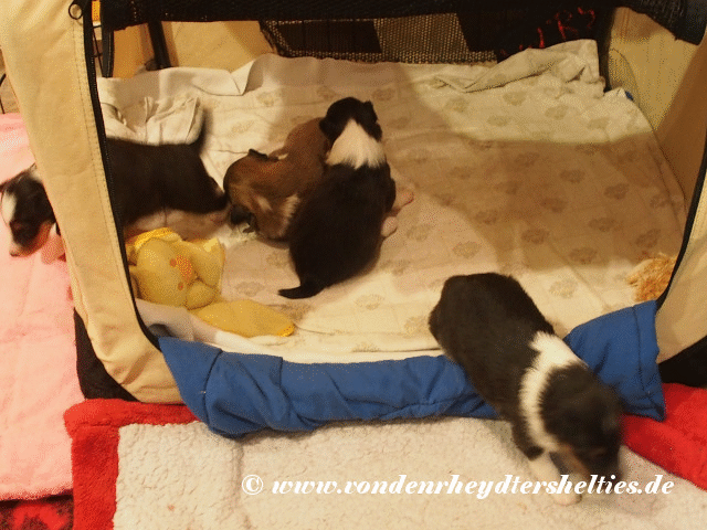 output lh8Z8c kurze Version