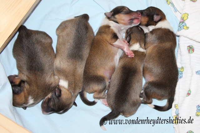 Gruppenkuscheln am 21.06.2014