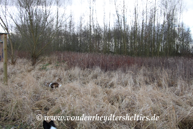 Suchspiel Auflösung