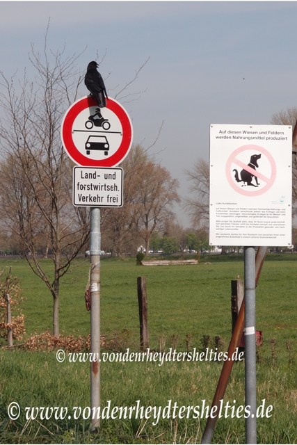 Das fängt ja gut an