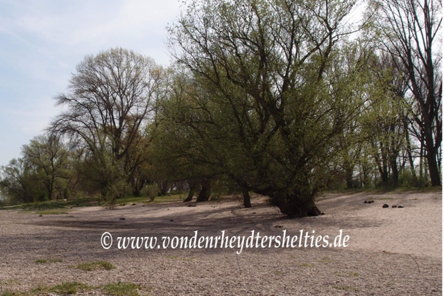 Spanien oder Portugal?