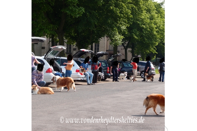 Parkplatzanblick nach dem Spaziergang