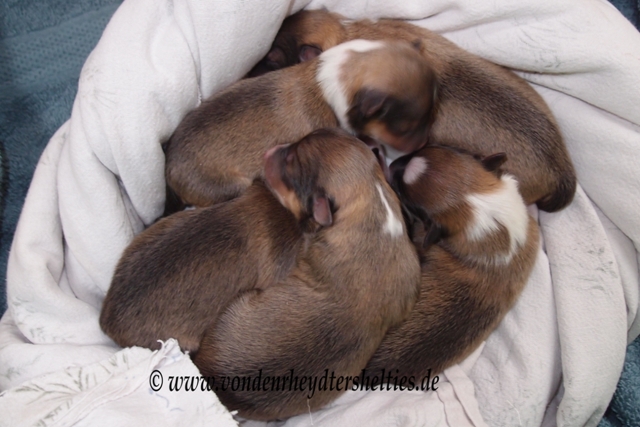 Gruppenkuscheln 2 am 21.06.2014