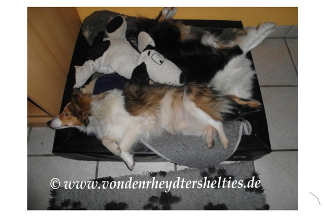 Karnevalsstreß? Wir nicht!