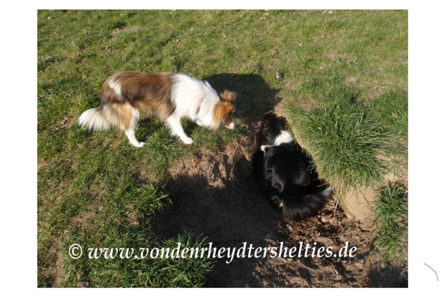 Wohnt da jemand? Teil 1