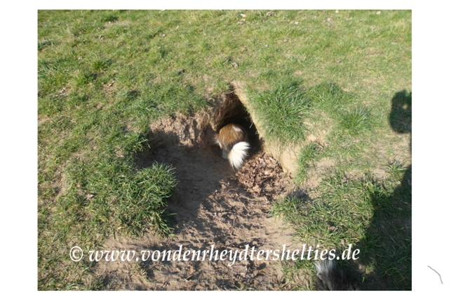 Wohnt da jemand? Teil 2