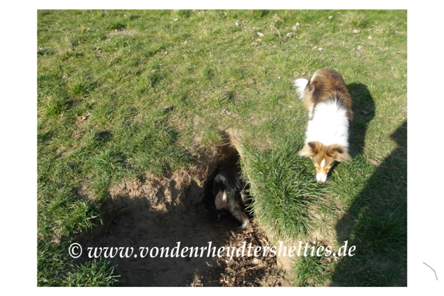 Wohnt da jemand? Teil 3