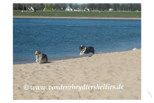 Wir lieben das Leben.....